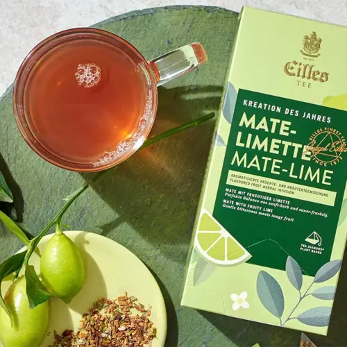 Чай в пирамидках EILLES Mate-Lime